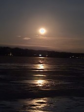 Our thanks to Board Member Kathy Gallagher