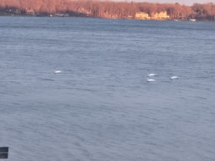 Our thanks to Board Member Kathy Gallagher