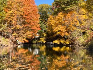 Our thanks to Member Debra Howard