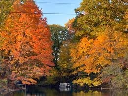 Our thanks to Member Debra Howard