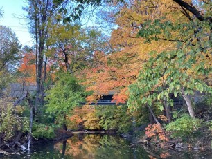 Our thanks to Member Debra Howard