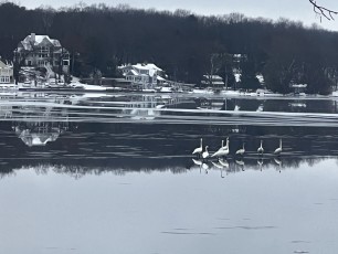 Our thanks to Member Valli McDougle