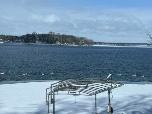 Our thanks to Member Valli McDougle