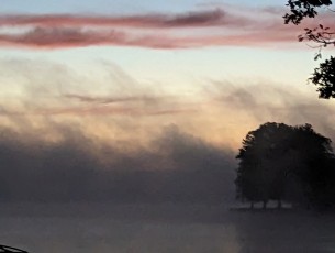 Our thanks to Member Eric Reid