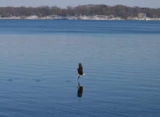 Our thanks to Member Kathy Gallagher