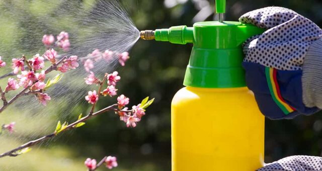 Herbicides, Pesticides and Water Quality