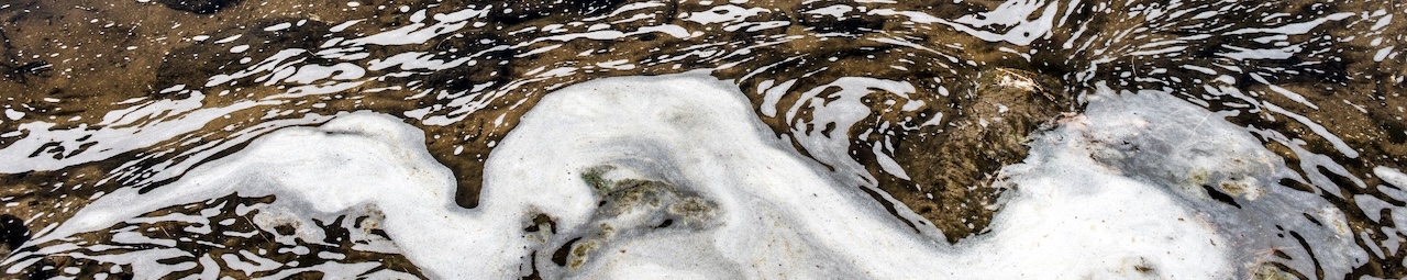 Fall Foam and a New Lake Study